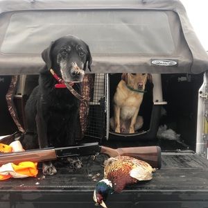 Meet your Posher, Daniel